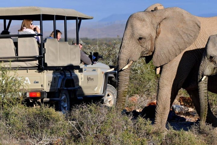 Private return transfers from Cape Town to Sanbona Wildlife Reserve - Image 1