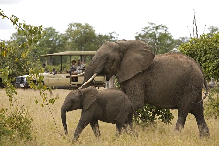 Private return transfers from Cape Town to Sanbona Wildlife Reserve - Image 3