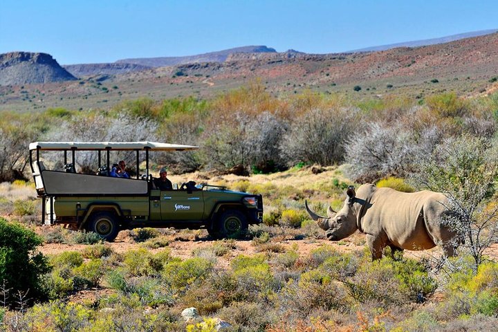 Private return transfers from Cape Town to Sanbona Wildlife Reserve - Image 2