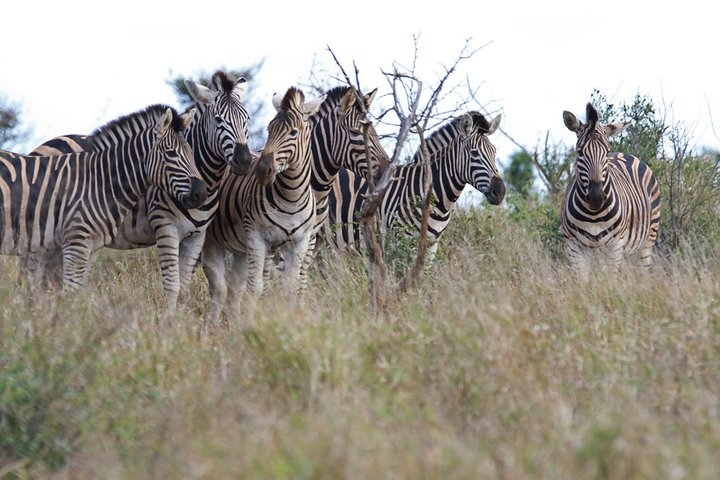 Private return transfers from Cape Town to Sanbona Wildlife Reserve - Image 4