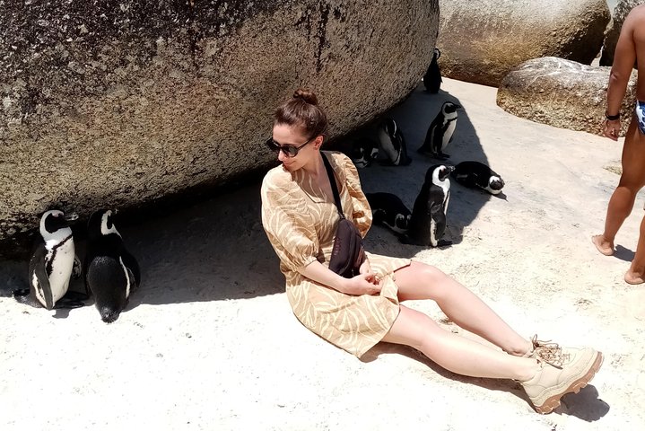 Private sightseeing tour; Cape of Goodhope, Cape Point & penguin tour - Image 4
