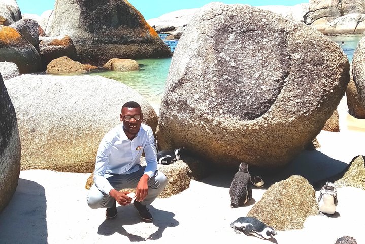 Private sightseeing tour; Cape of Goodhope, Cape Point & penguin tour - Image 1