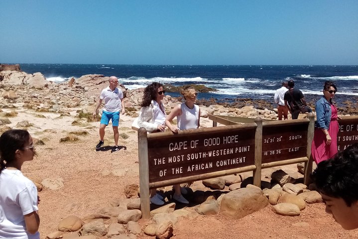 Private sightseeing tour; Cape of Goodhope, Cape Point & penguin tour - Image 5