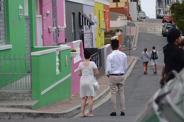 Private: Sightseeing Tour of the Cape of Good Hope and Boulders Penguin Colony - Image 2