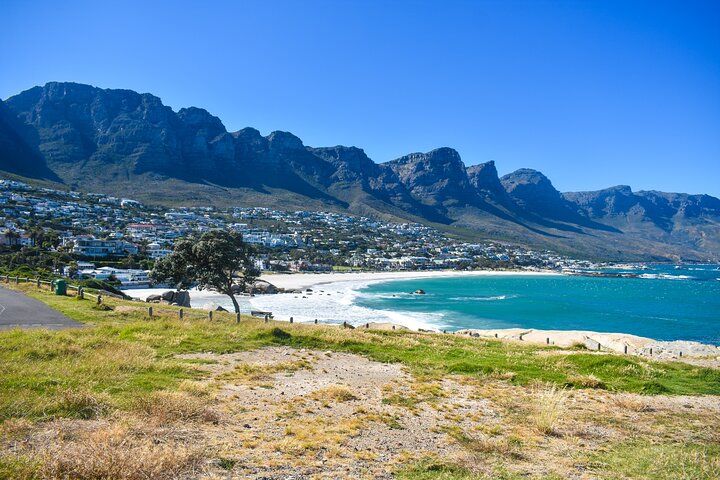 Private: Sightseeing Tour of the Cape of Good Hope and Boulders Penguin Colony - Image 3