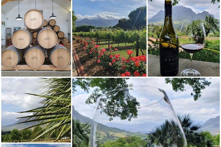 Private Stellenbosch and Paarl Wine Tour With Family Wildlife - Image 5