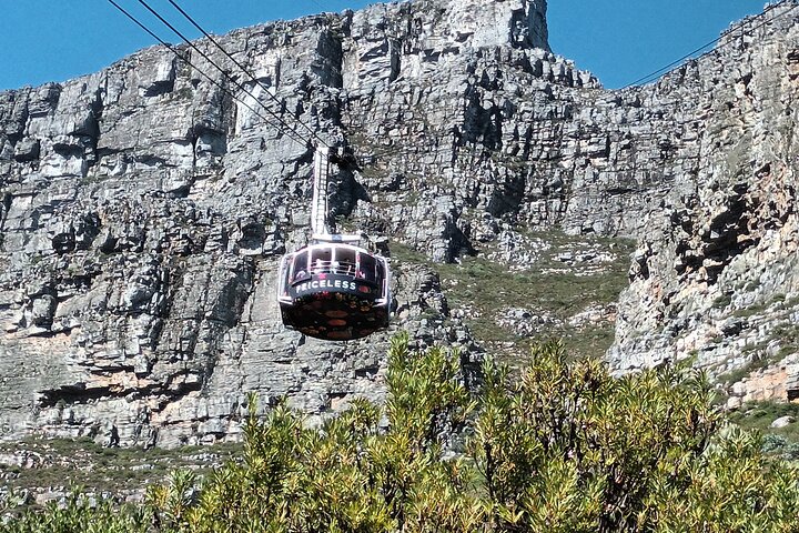 Private Table Mountain Cape Point Penguins Inc All Tickets FD - Image 3