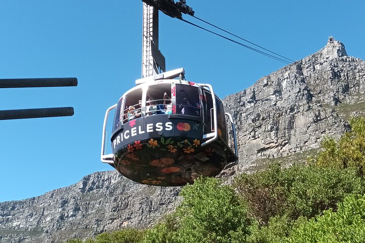 Private Table Mountain Cape Point Penguins Inc All Tickets FD - Image 1