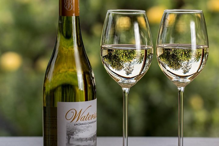 Private Table Mountain, Kirstenbosch and Constantia Wine Tasting. - Image 5