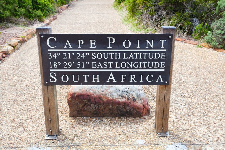 Private Table Mountain Penguins & Cape Point Tour from Cape Town - Image 3
