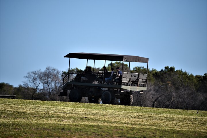 Private Tour : Africa Wild Safari West Coast Cape Town - Image 2