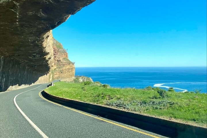 Private Tour: Cape of Good Hope, Cape point and Boulders Beach - Image 5