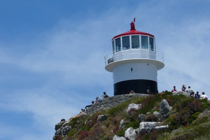 Private Tour: Cape of Good Hope, Cape point and Boulders Beach - Image 2