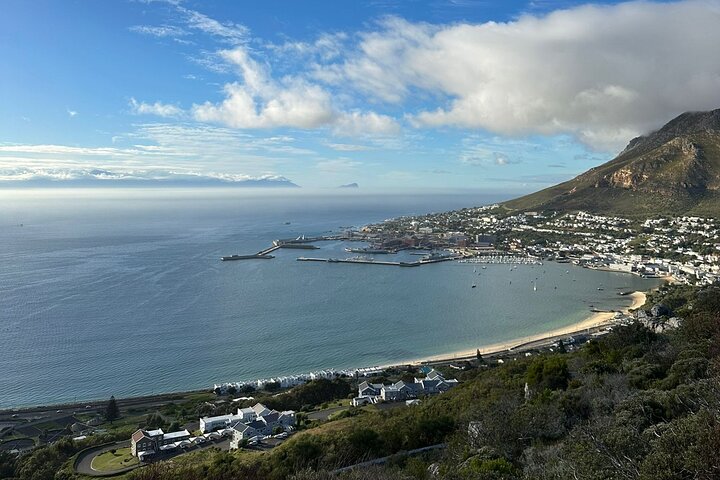  Private Tour Cape of Good Hope with Penguins  - Image 1