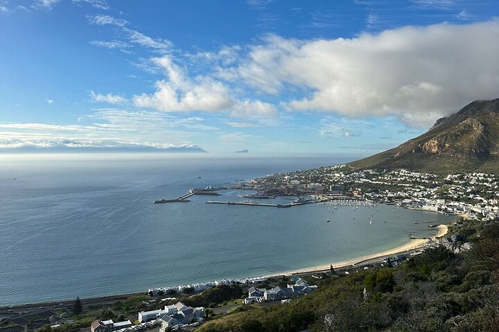  Private Tour Cape of Good Hope with Penguins  - Image 4