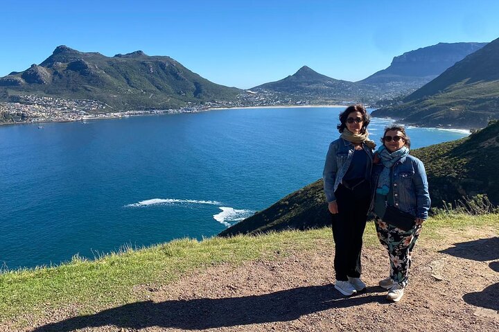  Private Tour Cape of Good Hope with Penguins  - Image 2