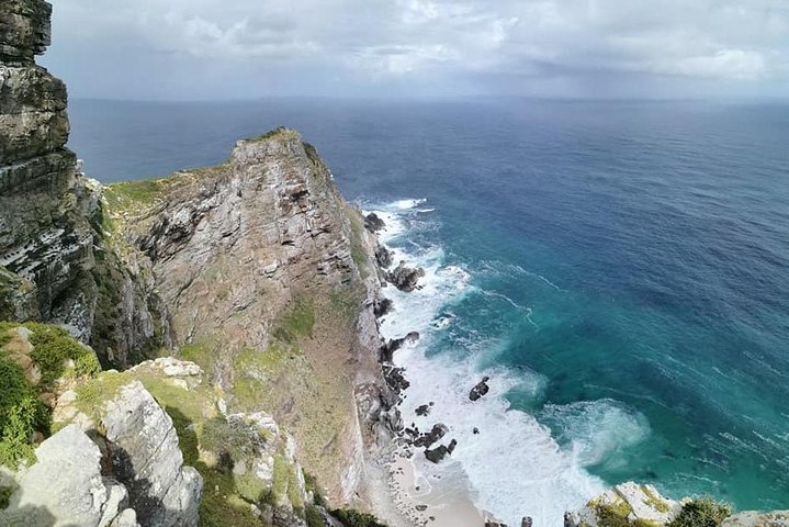 Private Tour - Cape Peninsula  - Image 4
