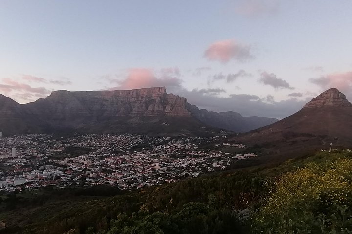 Private Tour - Cape Peninsula  - Image 2