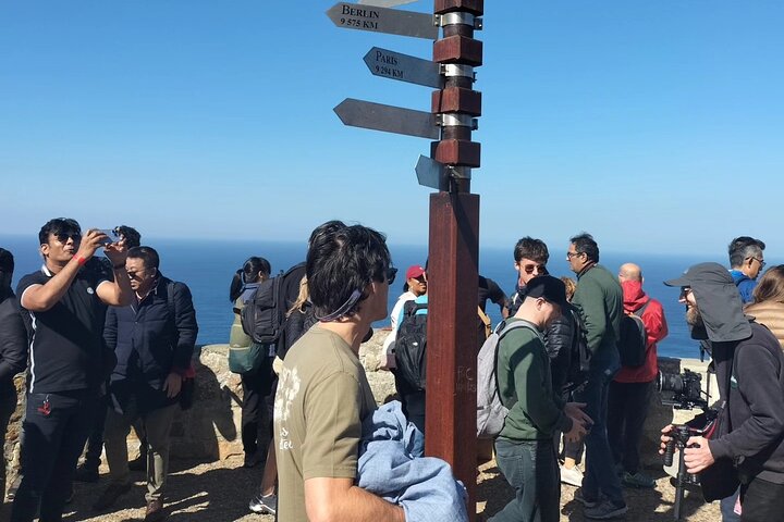 Private Tour: Cape Peninsula & Penguin Beach, Cape Point & more - Image 1