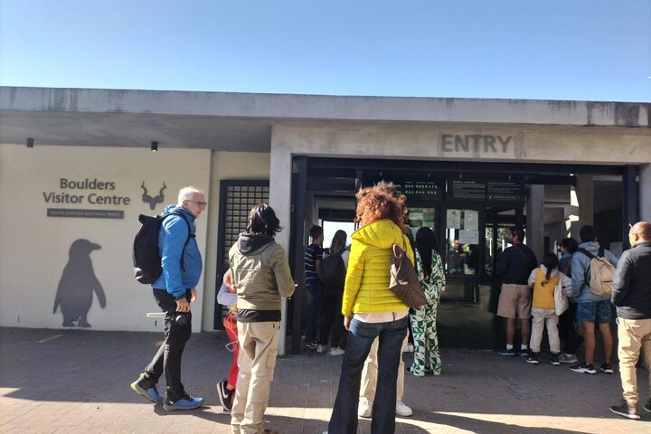 Private Tour: Cape Peninsula & Penguin Beach, Cape Point & more - Image 4