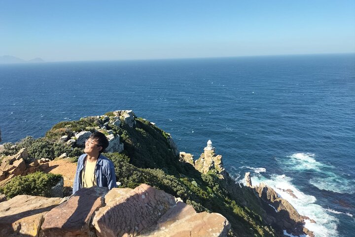 Private Tour: Cape Peninsula & Penguin Beach, Cape Point & more - Image 3