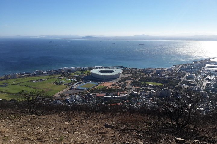 Private Tour: Cape Town City and Table Mountain from Cape Town - Image 5