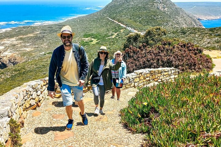 Private Tour from Cape Town to Cape of Good Hope and Cape Point - Image 3