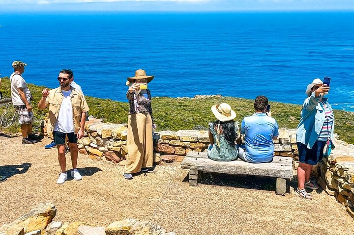 Private Tour from Cape Town to Cape of Good Hope and Cape Point - Image 4