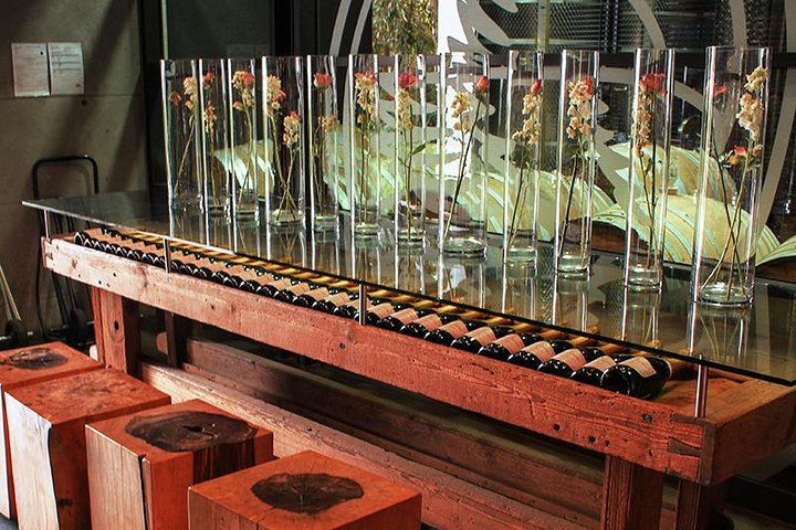 Private Tour In The Constantia Wineland - Image 5