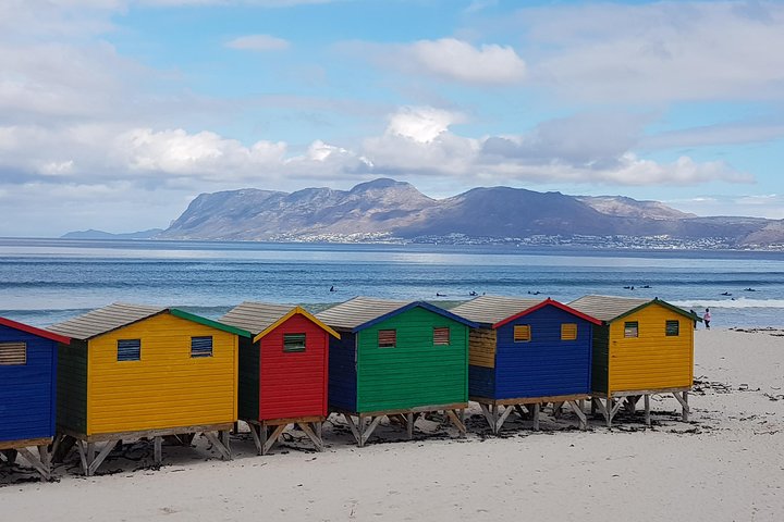 Private Tour Of Penguins, Cape Of Good Hope & Peninsula. - Image 2