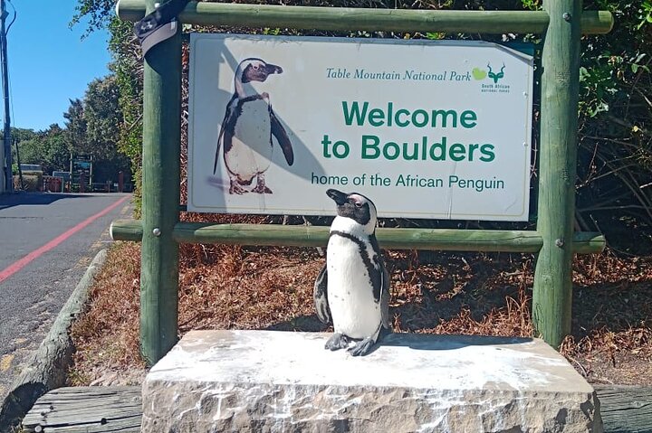 Private Tour: Table Mountain Boulder's Beach Penguin Cape Point - Image 3