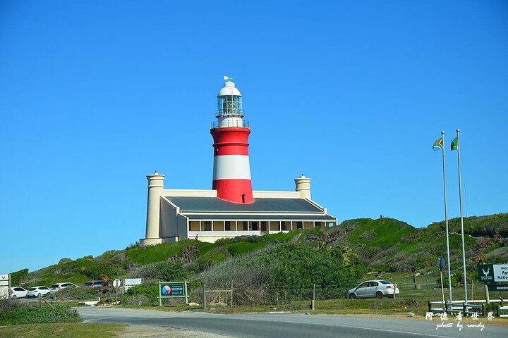 Private Tour to Cape Agulhas from Cape Town - Image 4