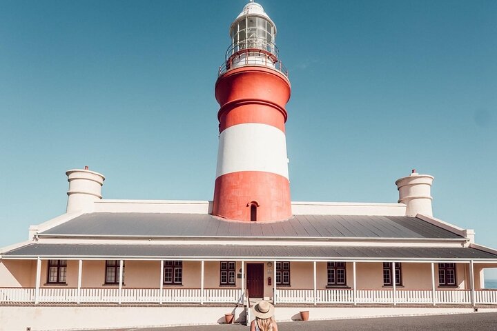 Private Tour to Cape Agulhas from Cape Town - Image 3