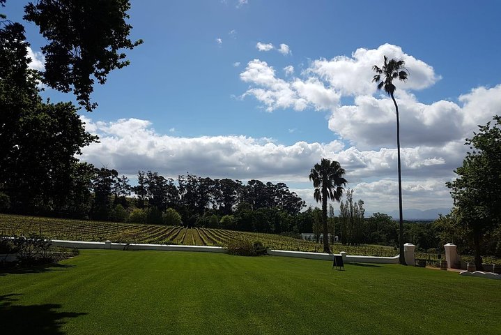 Private Tour with Wine Expert to Cape of Good Hope & Constantia Wine Region - Image 5