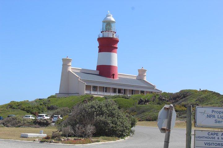Private trip to Cape Agulhas Where Two Oceans Meet Price / Group - Image 4
