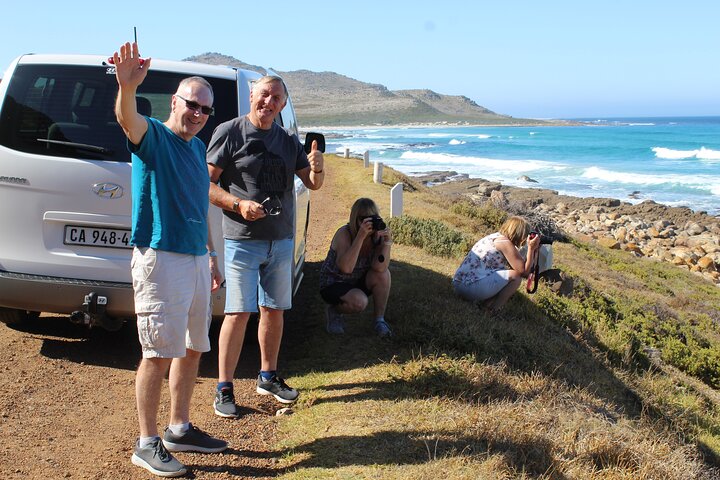 Private Visit To Hermanus Whale Watching Penguins And Winery + All fees included - Image 1