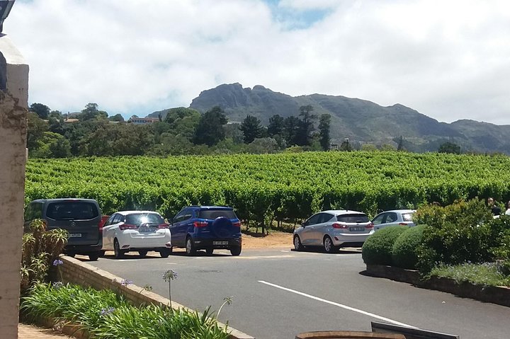Private Visit to the Wineries Stellenbosch Franschoek from Cape Town Full Day - Image 5