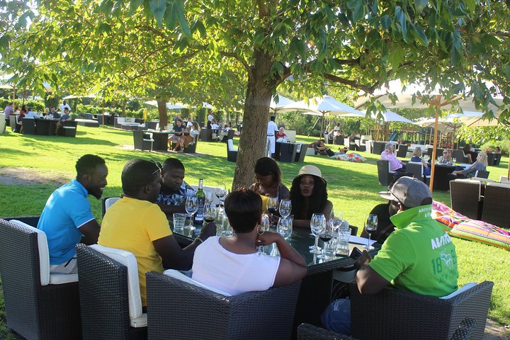 Private Visit to Wineries Stelenbosch from Cape Town Price/Group  - Image 3