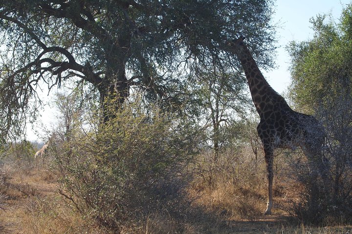 Private Wildlife and Wine Tour - Image 4
