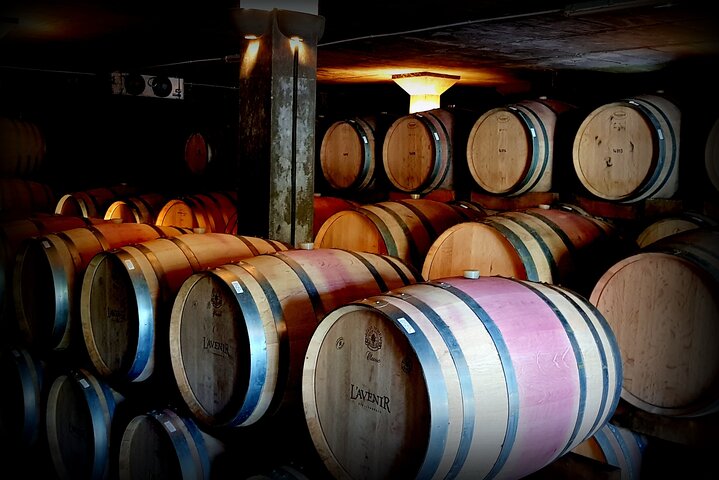 Private Wine Tasting Tour in Cape Town - Image 5
