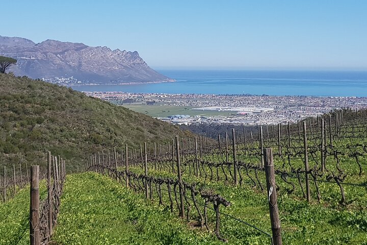 Private Wine Tasting Tour in Cape Town - Image 1