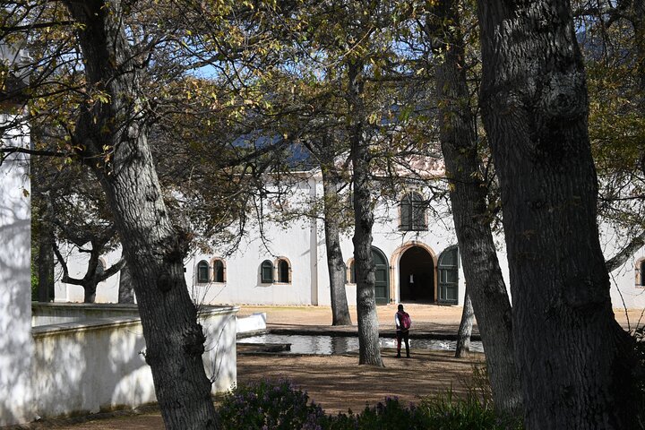 Private Wine Tasting & ZipLining Tour - Image 5