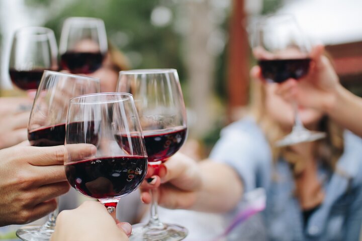 Private Wine Tasting & ZipLining Tour - Image 2