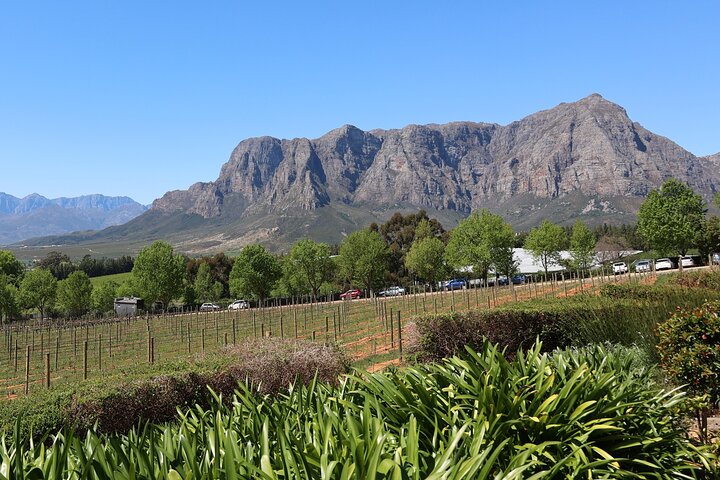 Private Wine Tour Cape Town with Local Guide, Tasting Fees Includ - Image 5