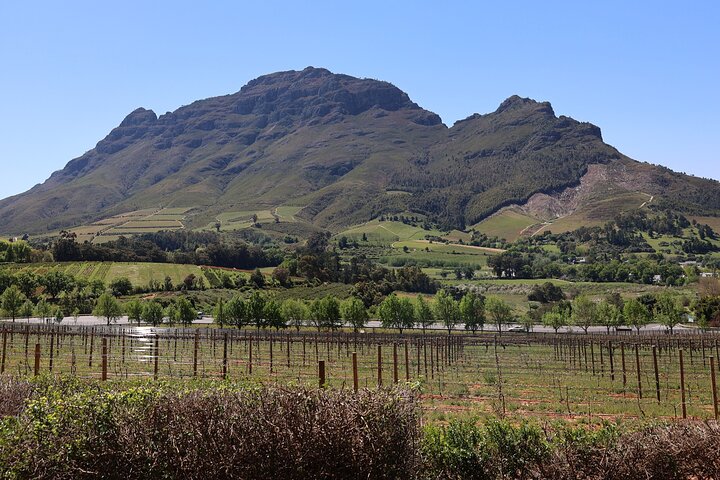 Private Wine Tour Cape Town with Local Guide, Tasting Fees Includ - Image 4