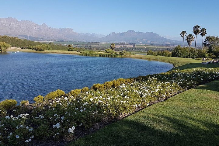 Private Wine Tour with Wine Expert to Stellenbosch-Franschhoek Wine Regions - Image 2