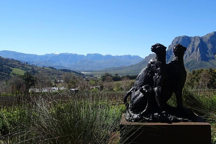 Private Wine Tour with Wine Expert to Stellenbosch-Franschhoek Wine Regions - Image 4