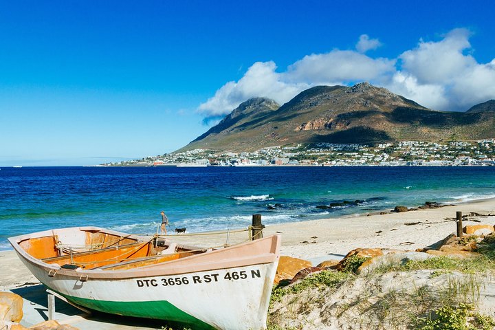 Pvt /Cape Point/Cape of Goodhope/Penguins/K'bosch tour! incl entrance CP/KB - Image 1