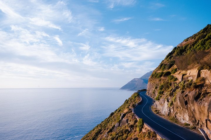 Pvt /Cape Point/Cape of Goodhope/Penguins/K'bosch tour! incl entrance CP/KB - Image 3