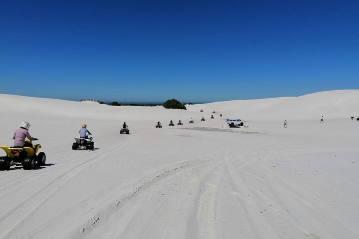 Quad biking in Atlantis Dunes - Image 2